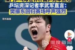 开云体育登录-波兰队力克德国队，樊振东点燃赛场