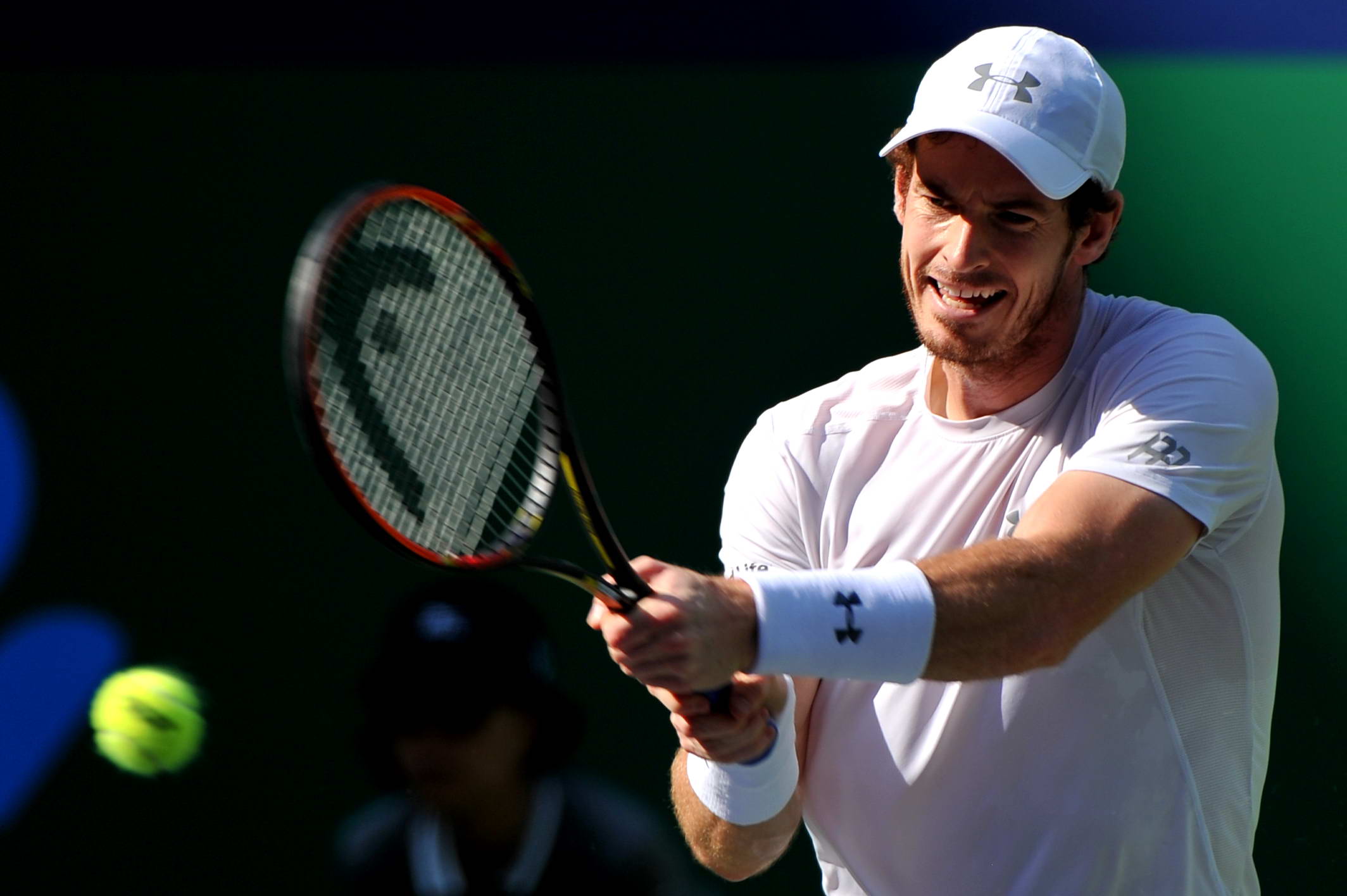 美国网球队横扫日本网球队，穆雷高光表现的简单介绍