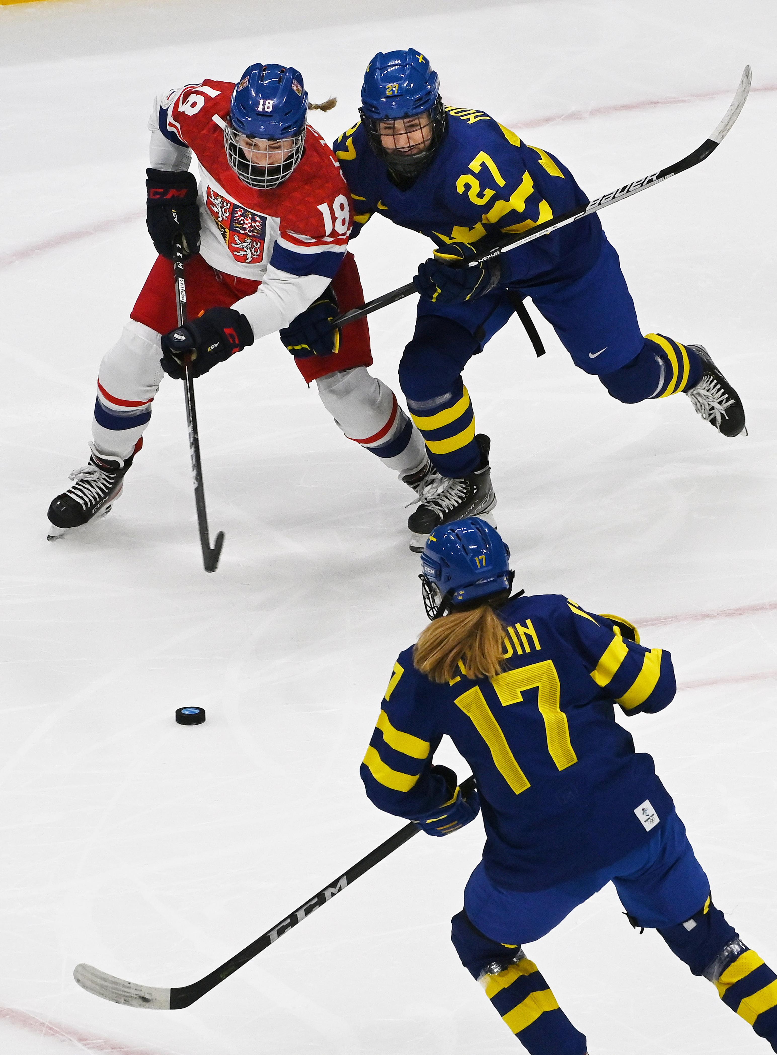 奥地利队在冰球比赛中击败对手 奥地利队在冰球比赛中击败对手