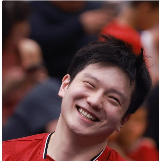 中国队险胜德国队，樊振东扛起全队的简单介绍