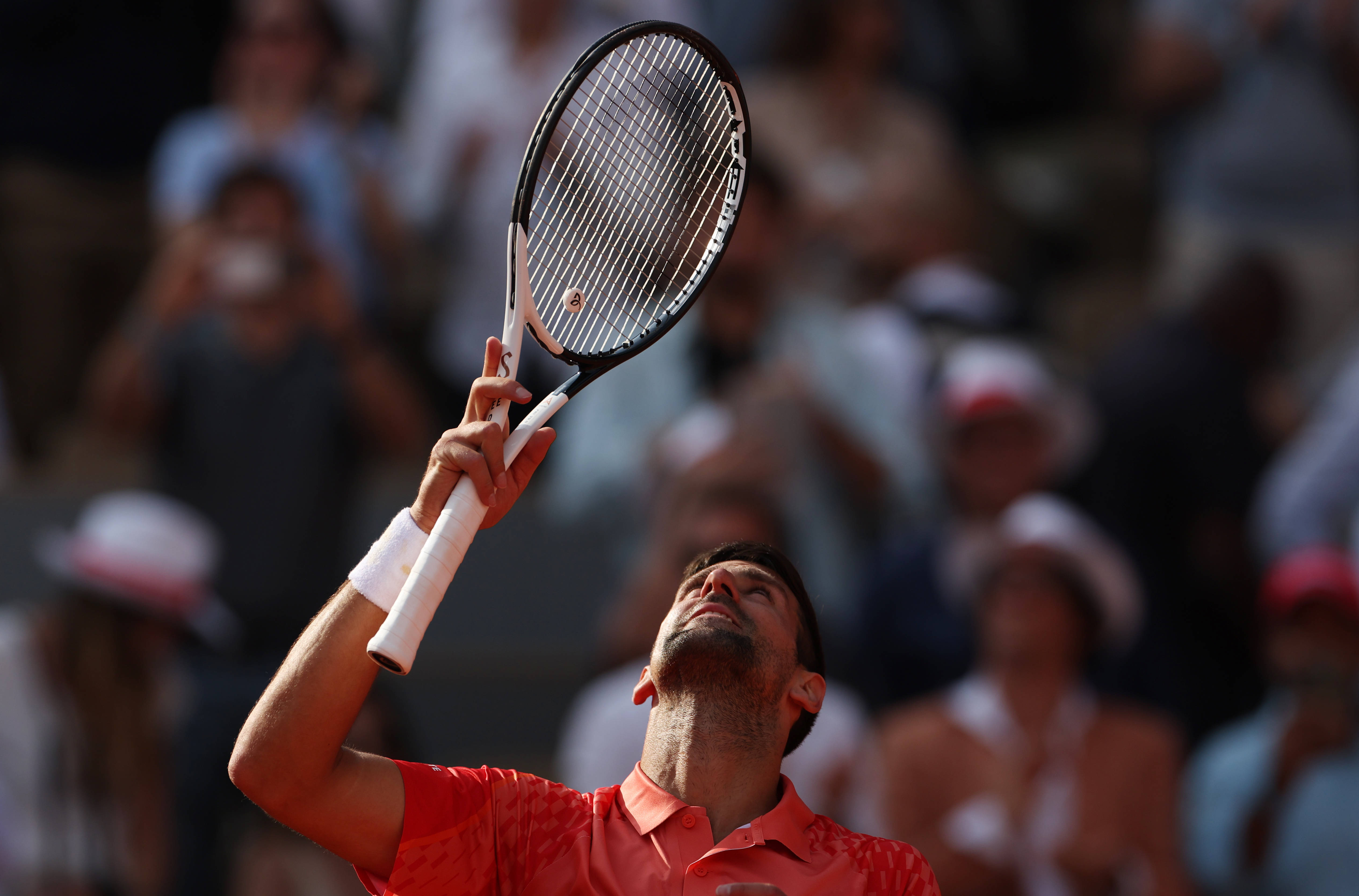 包含法网完胜联合杯，阿尔卡拉斯惊艳四座的词条