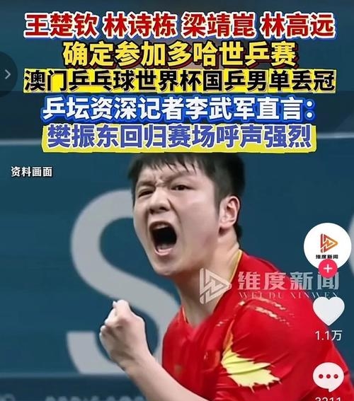 波兰队力克德国队，樊振东点燃赛场