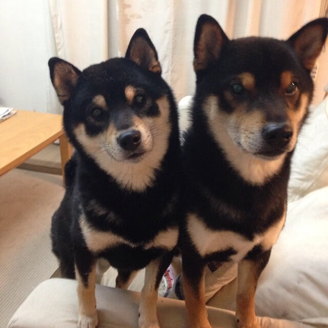 阿什拉夫锁死里昂，马里绝杀定乾坤，一场防守艺术与致命一击的胜利