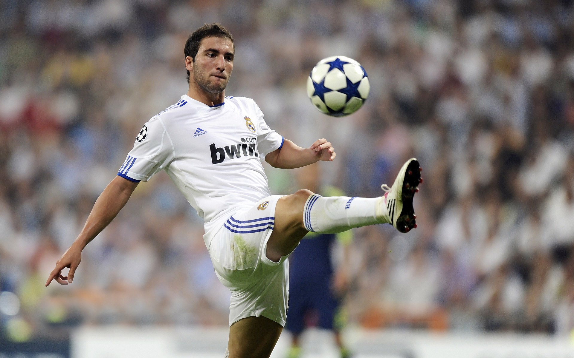 赛道与球场的双重奏,当F1争冠战火点燃,雄鹿已悄然斩落灰熊